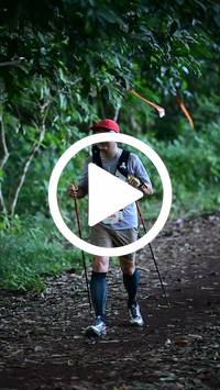 BIB:  <button type="button" onclick="openModal(27539558)" class="btn btn-primary btn-sm float-right" data-toggle="modal" data-target=".modal-high-quality">
                <i class="fa fa-download"></i> Download
                </button>